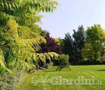 Sognare e realizzare il giardino ideale grazie al rendering