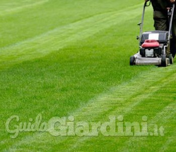 Come non passare tutti i fine settimana a tagliare l'erba (ma a godersi il giardino)