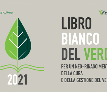 IL LIBRO BIANCO DEL VERDE