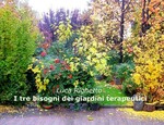 I TRE BISOGNI DEI GIARDINI TERAPEUTICI