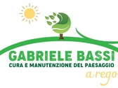 Gabriele Bassi