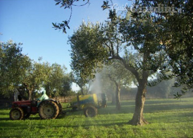 Agriservice Sardegna