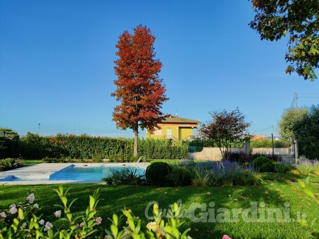 Giardino privato con Liquidambar