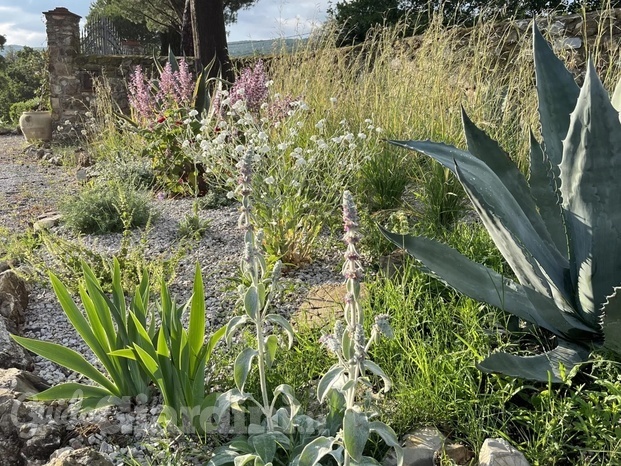 gravel garden tuscany.jpeg